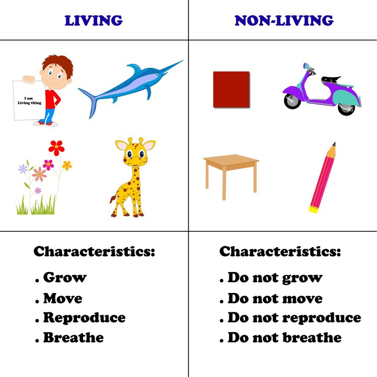 parts of speech anchor chart